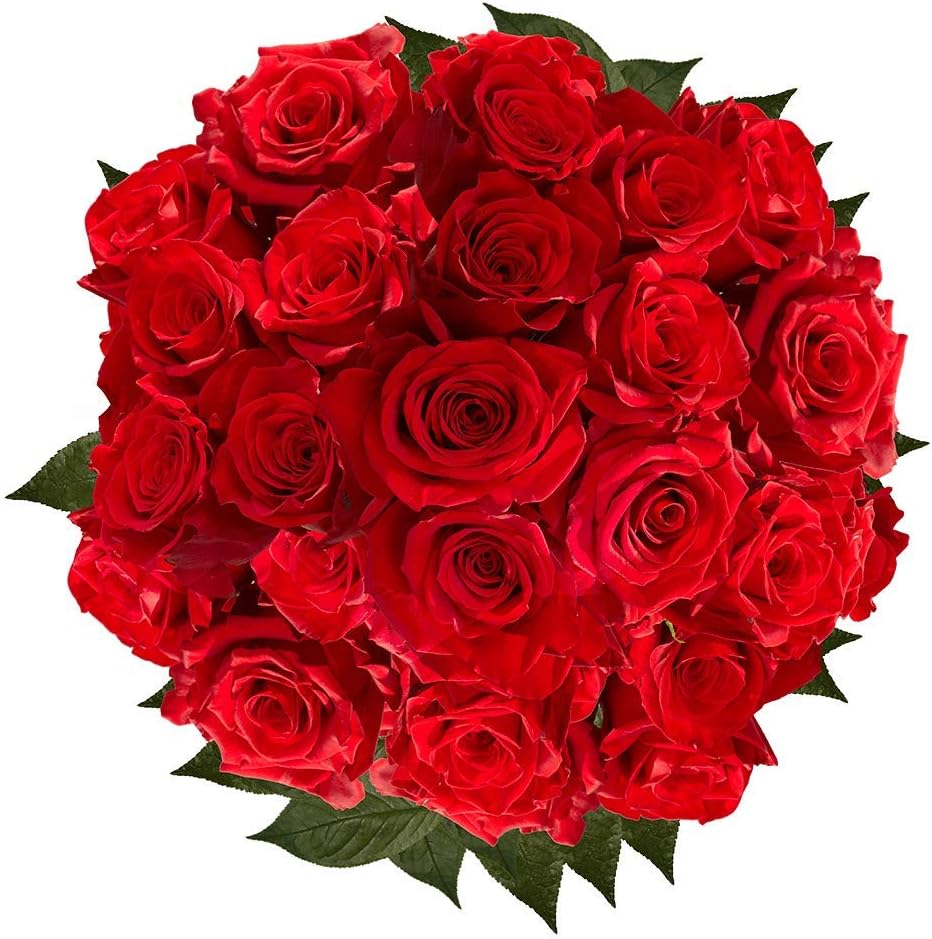 GlobalRose 125 Red Premium Roses - Freedom Roses - 24-28 Inches Long Stem - Fresh Flowers For Birthdays, Weddings or Anniversary.