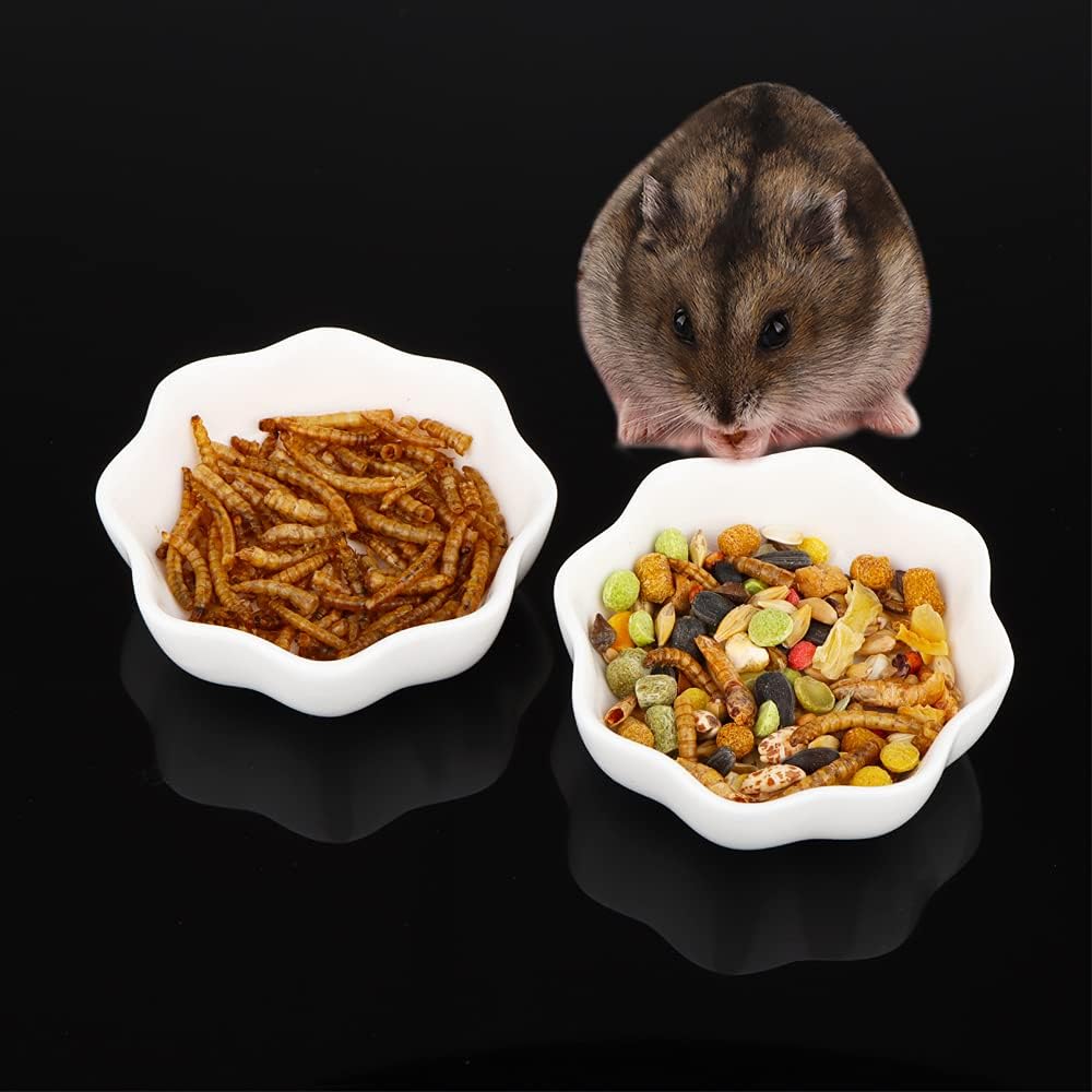 2 Pcs Ceramic Hamster Bowl, Small Animal Anti-Turnover Food Bowl and Water Dish Feeder for Dwarf Hamster Mouse Chinchilla Rat Gerbil…