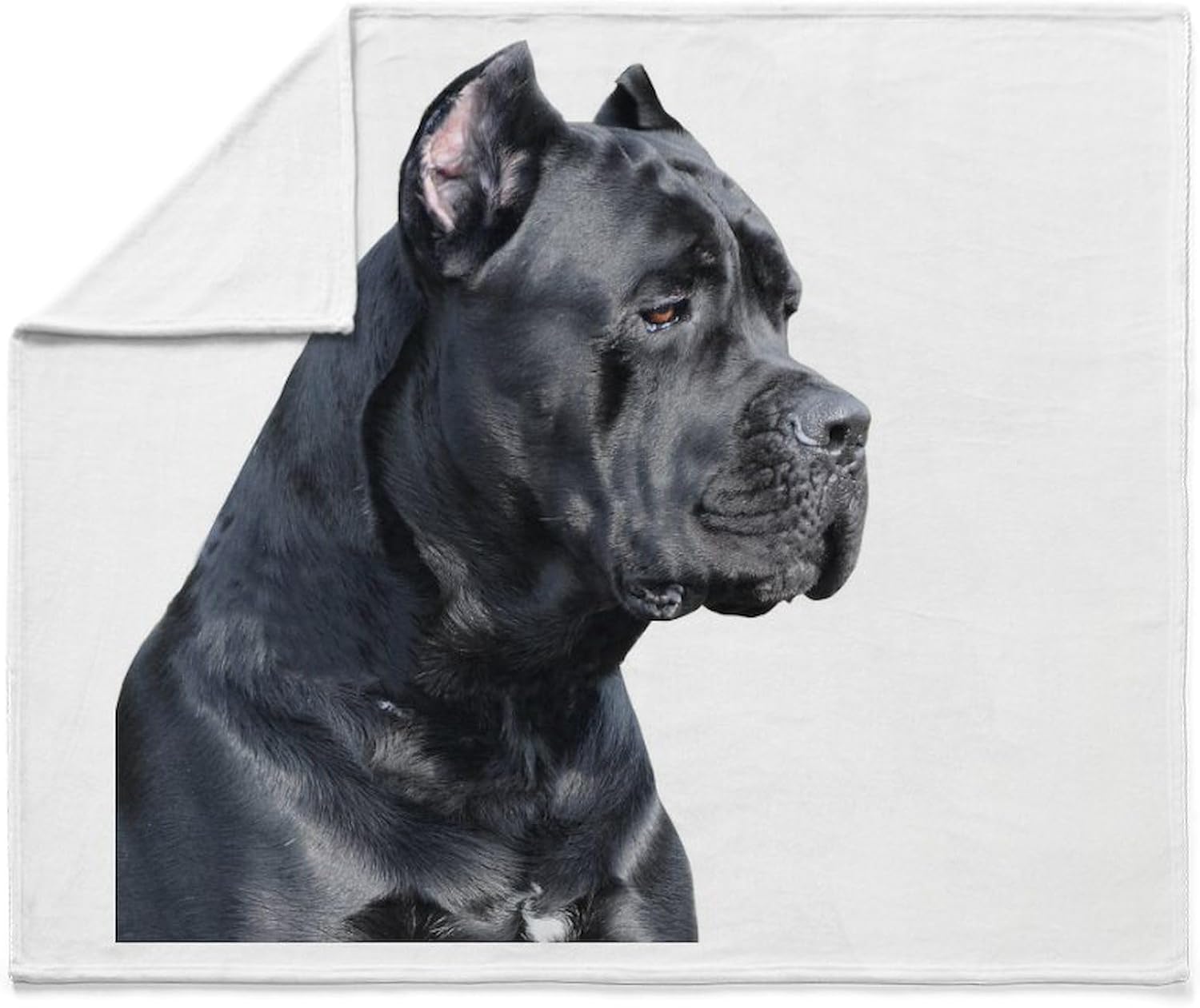 CafePress Cane Corso Throw Blanket Super Soft Fleece Plush Throw Blanket, 60"x50"