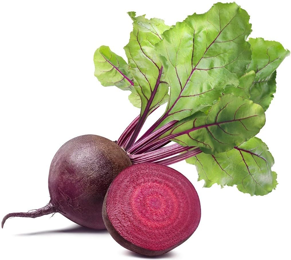 Willvine Dark Red Beet Seeds | Ruby Red-XLR-6T-image-26