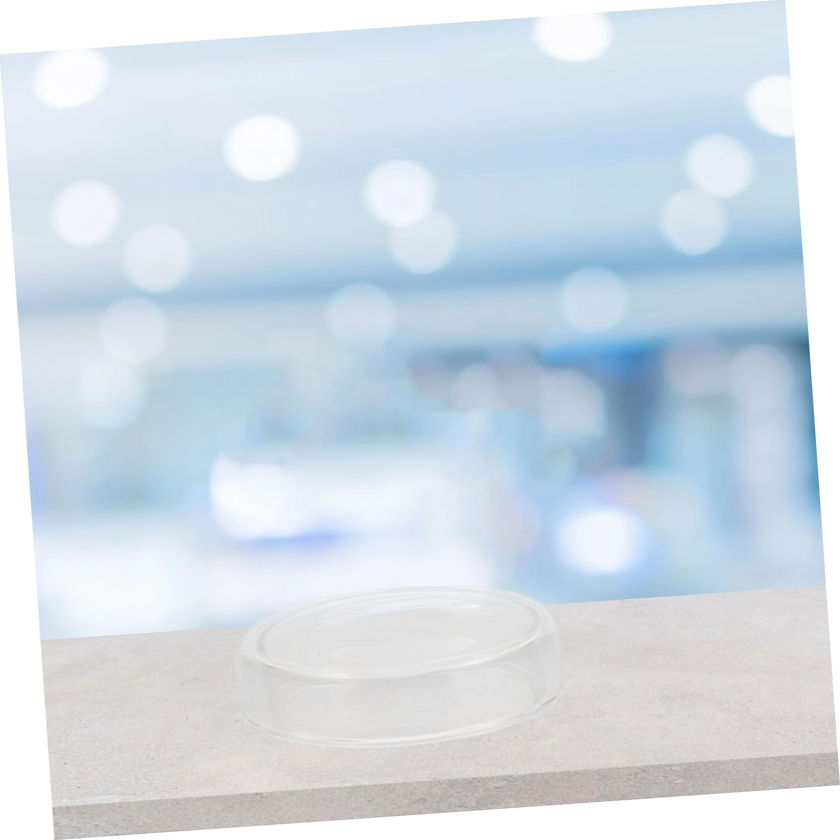 6pezzi Piastra di Petri in Vetro Trasparente per Colture Cellulari con Coperchio Resistente alle Alte Temperature Riutilizzabile per Laboratorio e Chimica
