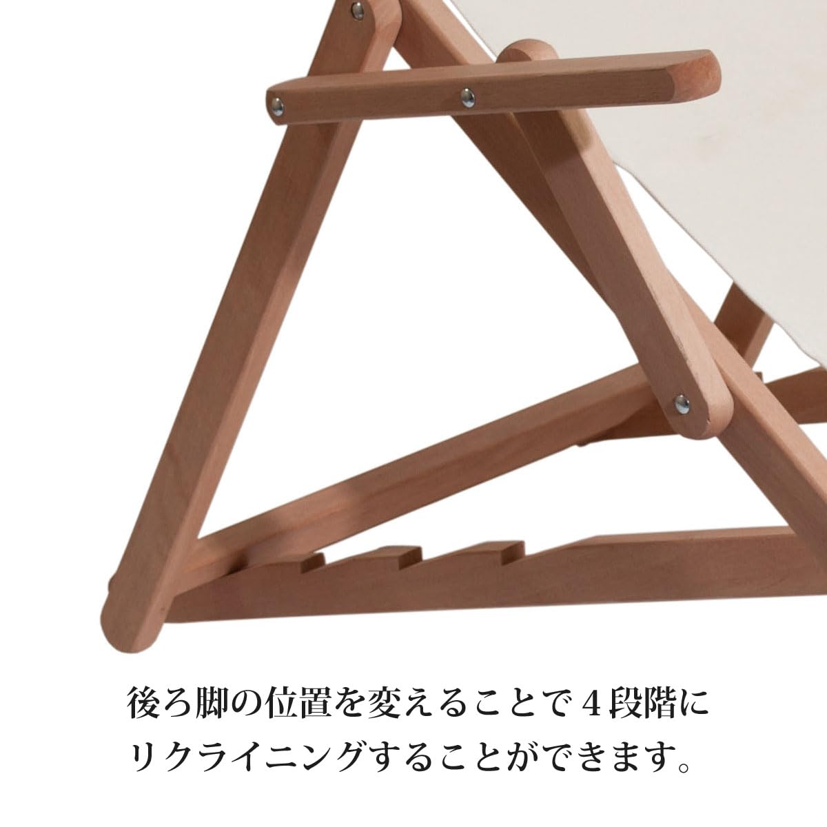 Amazon.co.jp: Italy LaSedia社 レジスタリラックス アーム付チェア