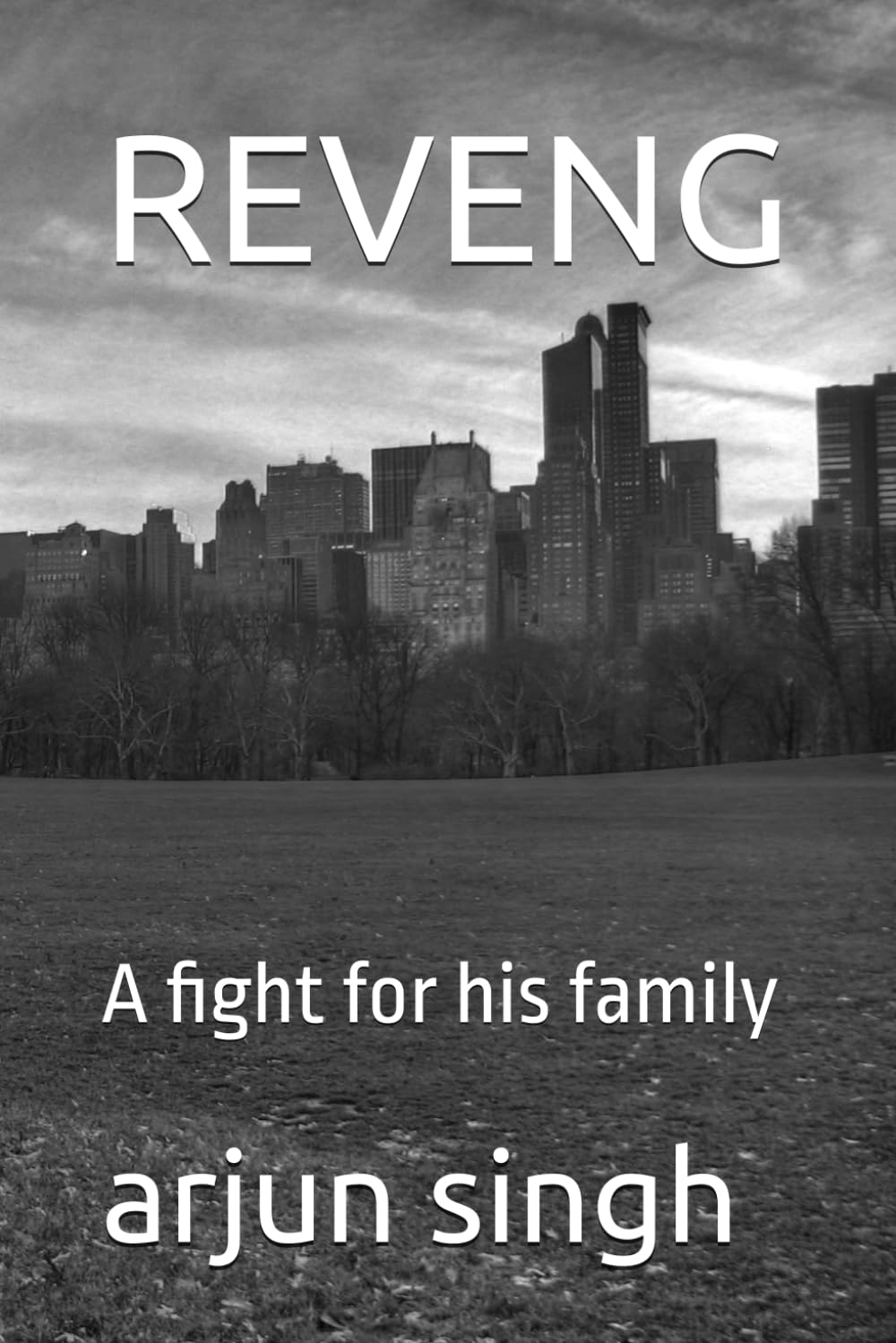 REVENG: A fight for his family: 1 (REVENGE)