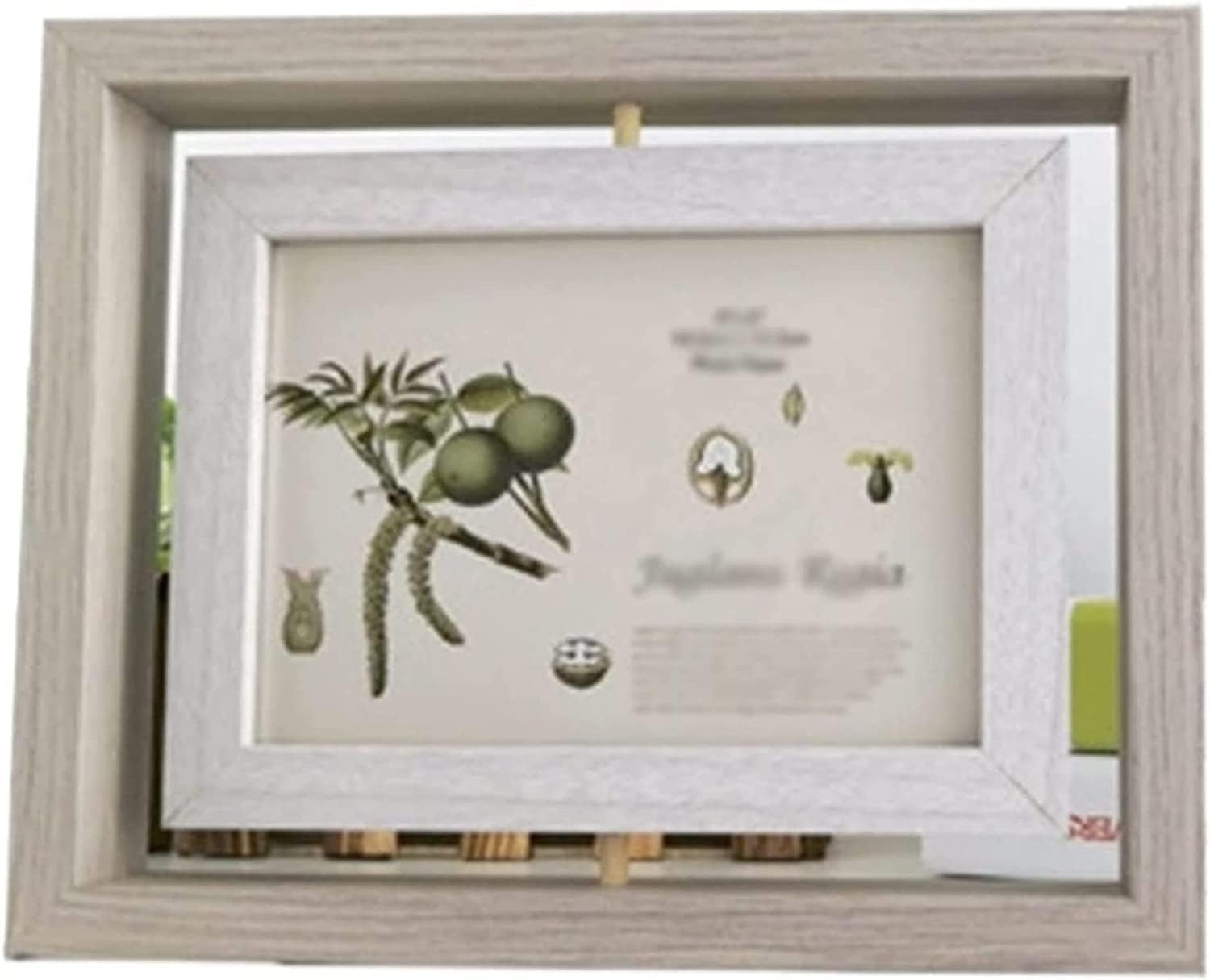 残1枚】デイヴィッド・ホックニー展 海外ポスター④ A2版 Louisiana