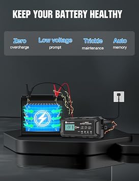 ECO-WORTHY 12V 10A Battery Charger for Lead-Acid, LiFePO4 Battery