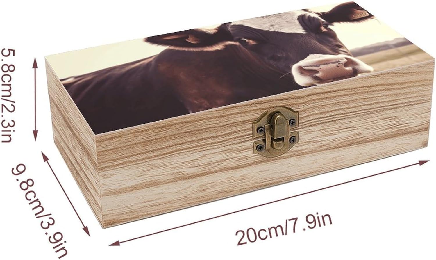 Vintage Wooden Storage Box with Front Clasp Keepsake Box with Lid image 2