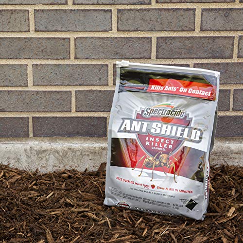 Spectracide Ant Shield Insect Killer Granules #TOP11