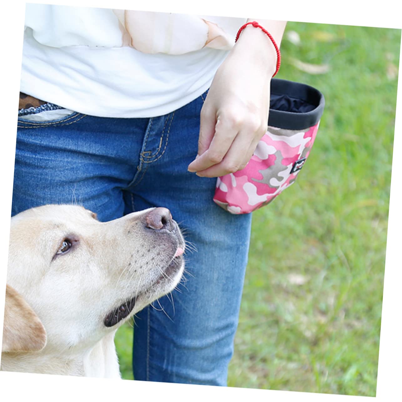 Sosoport 3 Stücke Hund Leckerli Training Beutel Pet Training Leckerli Beutel Clip Hund Leckerli Tasche Taille Tasche Für Größe