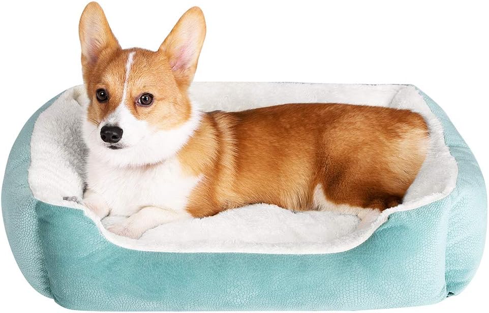 JMHUND Dog Beds for Medium Dogs Soft Warm Pet Cat Kennel, Washable Puppy Bed with Removable Mat & Anti-Slip Bottom, Blue L