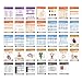 Medical Notes with Medical Abbrev Booklet - 67 Medical Reference Cards (3.5