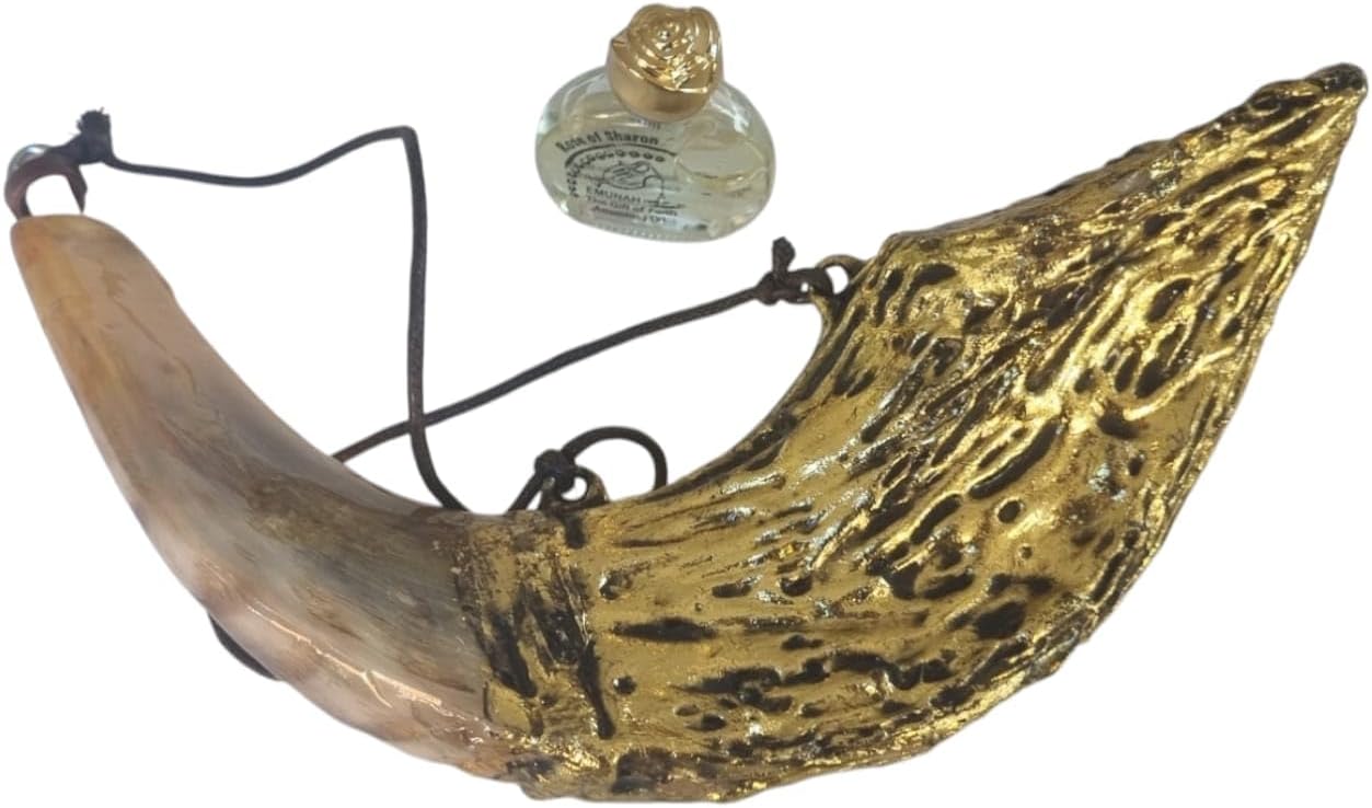 Lion of Judah Gold Plated Ram's Ram Horn Shofar Anointing Oil Dispenser - Decorative Holy Land Gift with Free Perspex Stand & Oil - 12-14 Inch