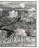 Zoe Leonard: Photographs