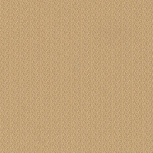 Image of Steelcase Amia Chair, Barley Fabric