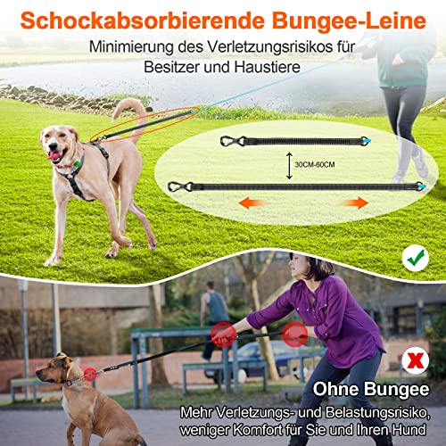 Schleppleine Aystkniet Bungee für Hunde in verschiedenen Längen