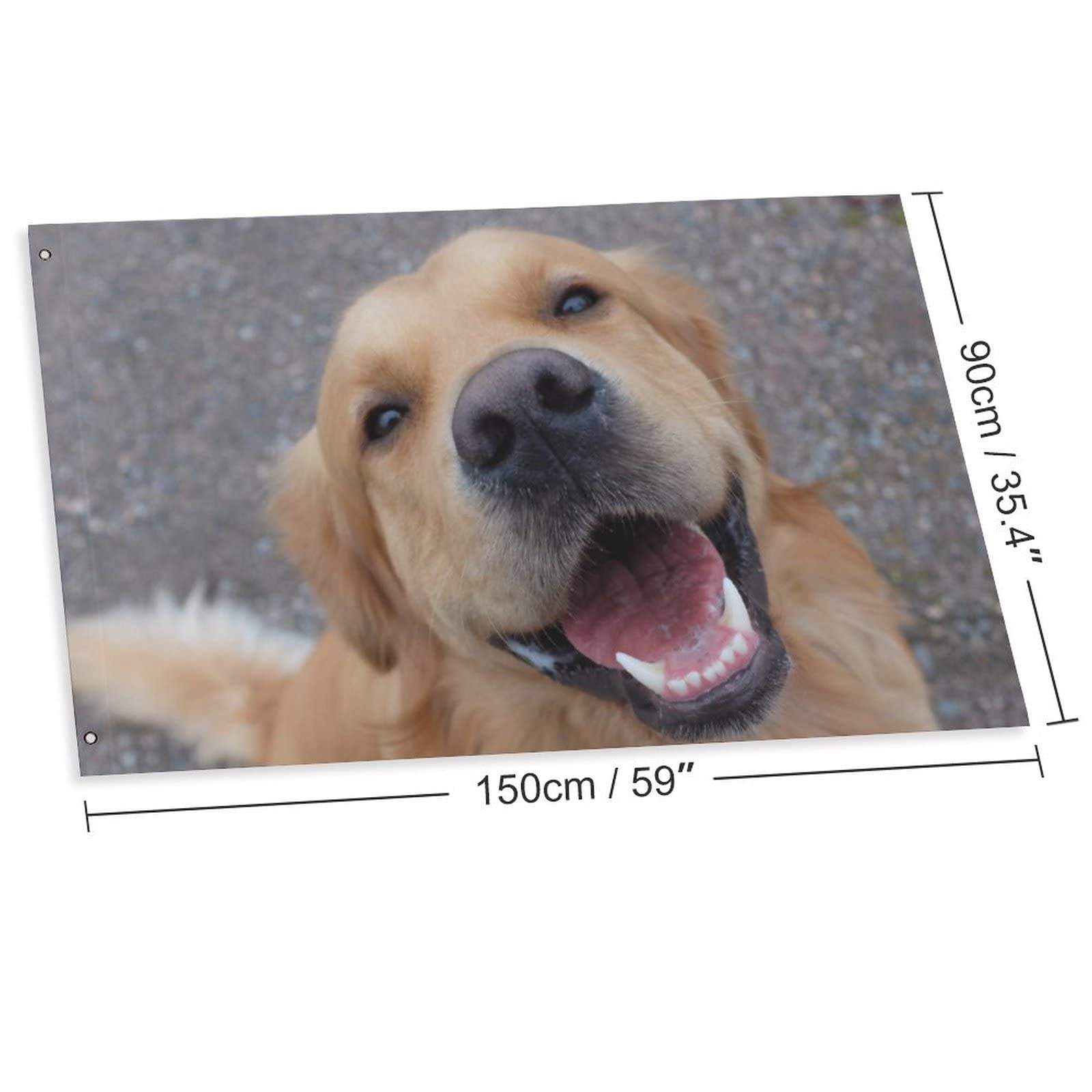 Balgardekor Bandera De Jardín Con Texto En Inglés Welcome Fall Golden Retriever Para Perro Exterior Calabaza Accion De Gracias 12 X 18