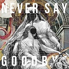 NEVER SAY GOODBYE feat. Mummy D / ALI