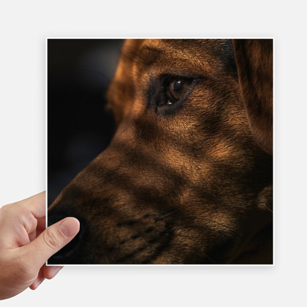 Autocollant chien sentimental de 20 cm pour embellir vos objets préférés