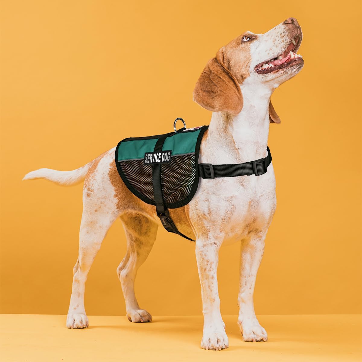Dogline MaxAire Vest Service Dog Removable Patch Adjustable Harness Reflective with Service Dog ID Card for Puppies Small Medium and Large Dogs 30 by 38 Inch Teal