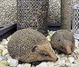 UKMGifts Set of 2 Hedgehog resin garden or indoor ornaments - Image 3