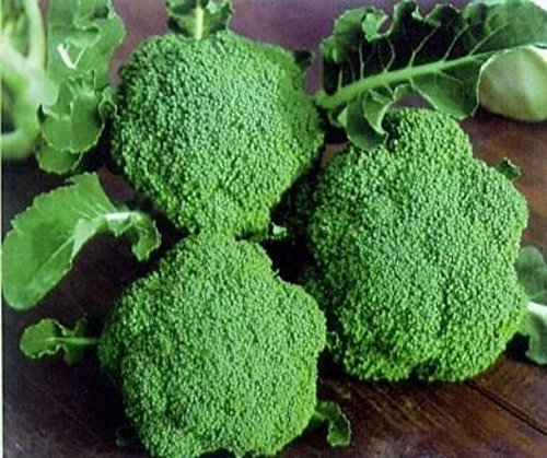 Seedscare F1 Hybrid Broccoli Kitchen Gardening Seeds (20 Seeds) (B00WK34R7M) Amazon Price History, Amazon Price Tracker