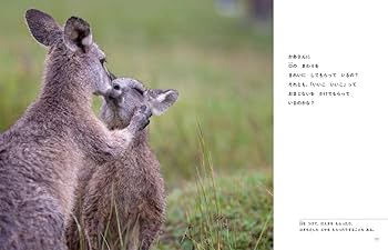 613Lc541jAL._AC_UF350,