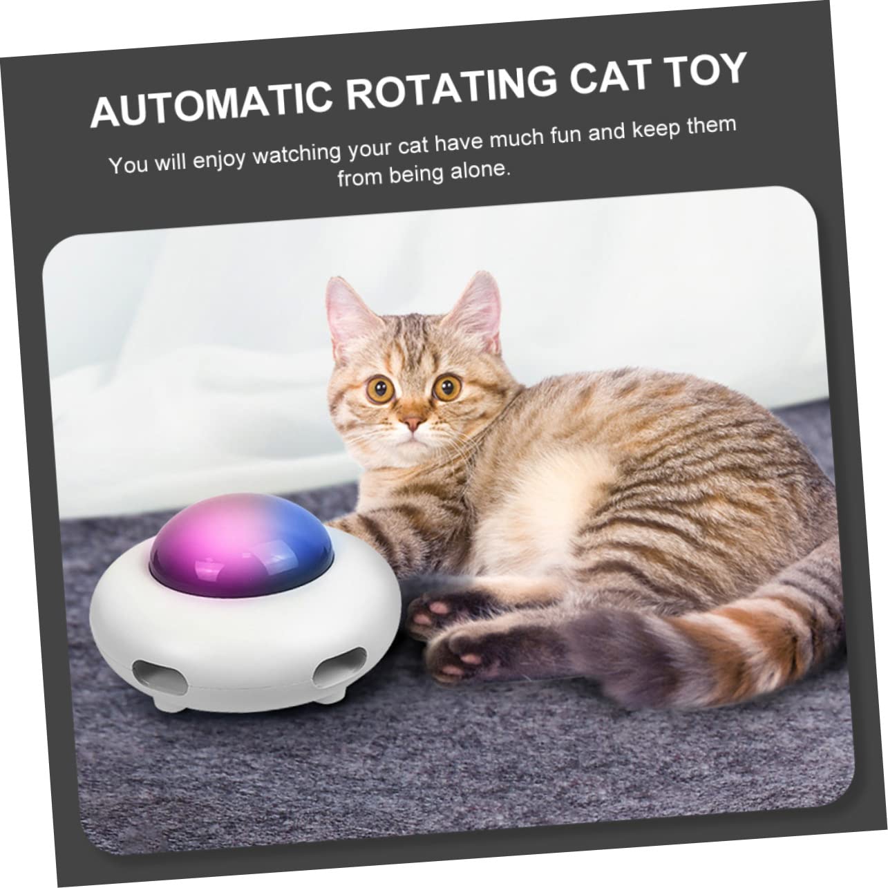 Yardwe Katzenspielzeug Für Den Innenbereich Automatisches Spielzeug Feine Verarbeitung Für Aufregendes Spielen