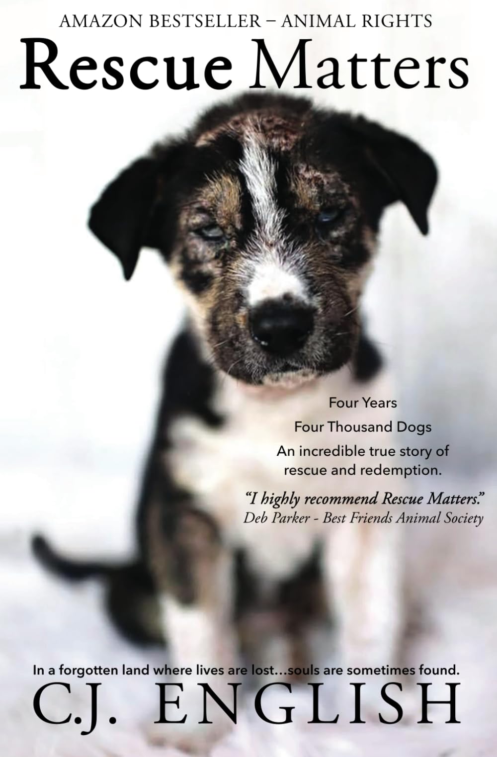 Rescue Matters: Four years. Four thousand dogs. An incredible true story of rescue and redemption.