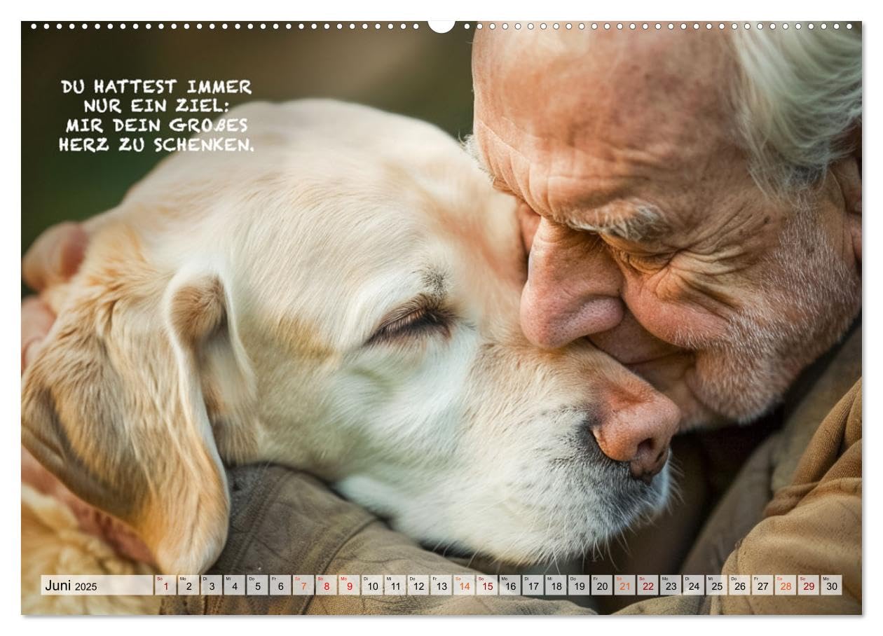 Cani e frasi toccanti (calendario da parete di alta qualità 2025 DIN A2 quer), stampa artistica lucida