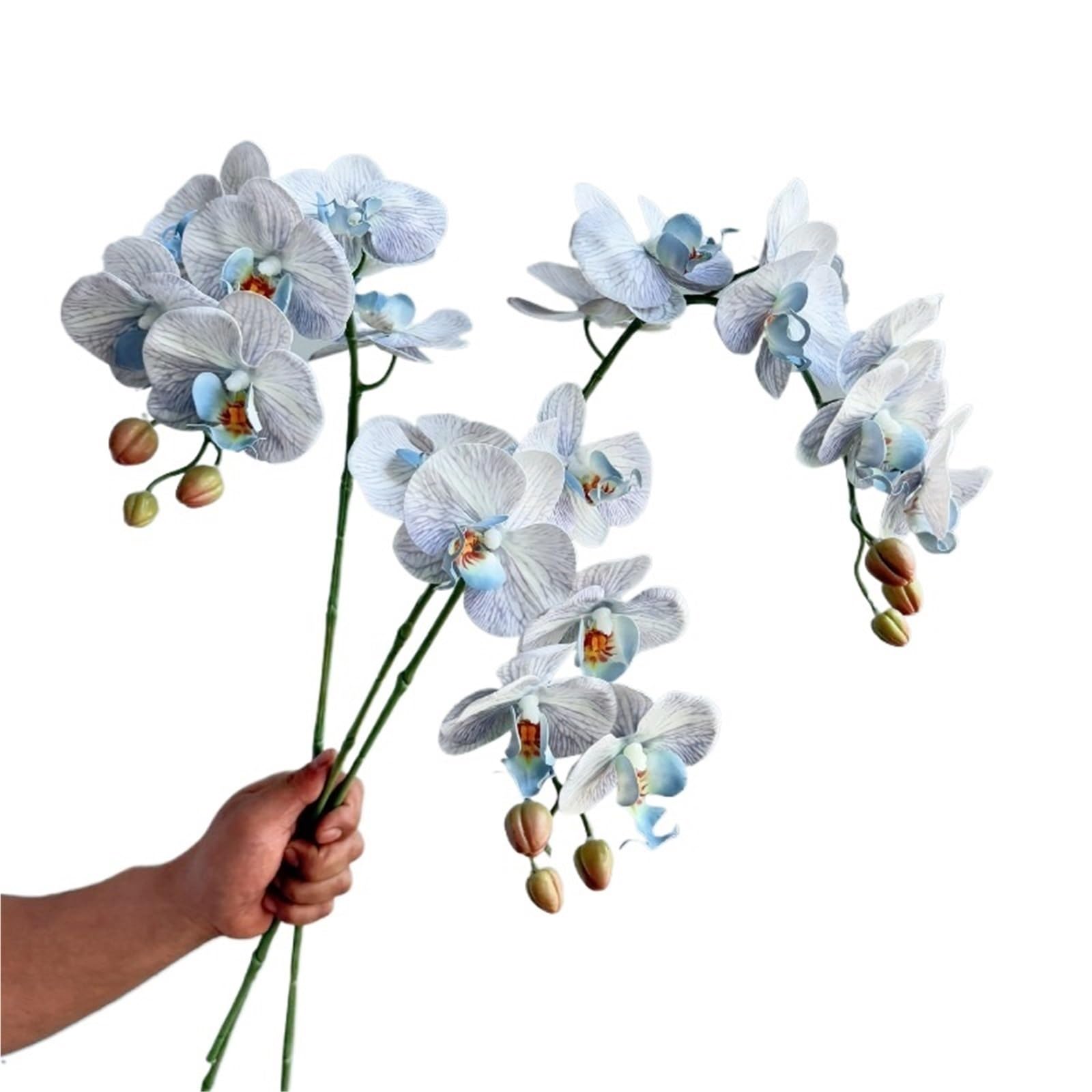 Orchidée papillon artificielle Fleurs d'orchidées papillon en latex