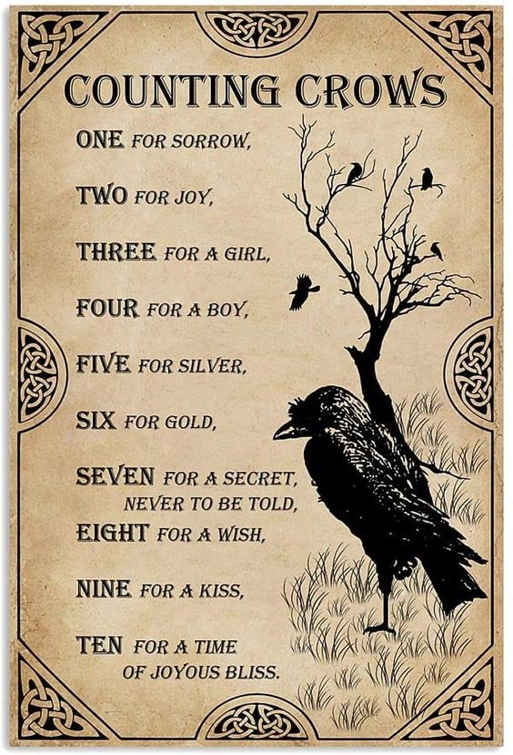SaNavie Counting Crows Poster, Suitable For Bar Cafe Club Garage Cave Metal Sign, Vintage Metal Tin Sign, 8 X 12 Inch, Men's Cave, Ladies' Cave, Home Decor, Wall Decor