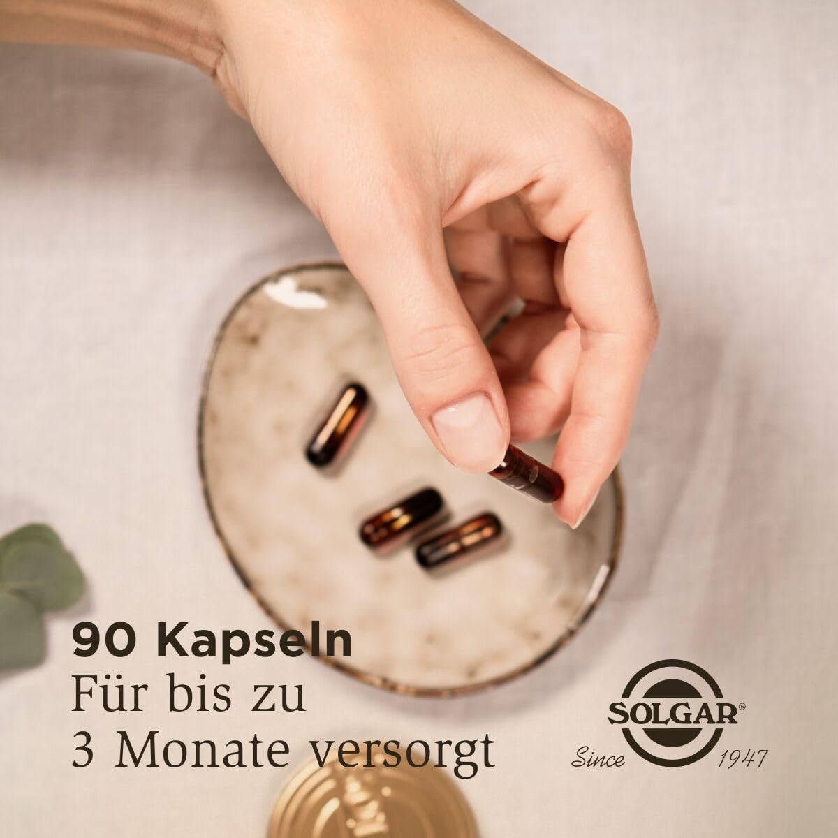 SOLGAR® Vollspektrum-Curcumin | 40mg Curcumin pro Kapsel | Patentiertes Verfahren für eine bis zu 185-fach höhere Bioverfügbarkeit | 100% natürlicher Ursprung | 90 Weichkapseln für 3 Monate