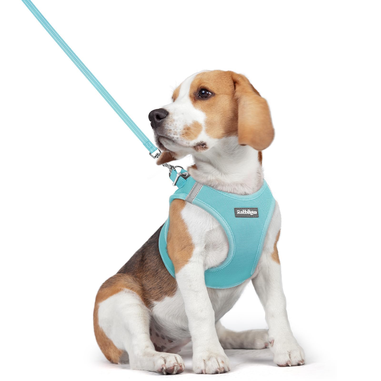 rabbitgoo Dog Harness Small Dog and Leash Set, Step-in Soft Mesh Puppy Harness with Reflective Strips, Lightweight Breathable Pet Vest for Walking Training, Mint Blue, L
