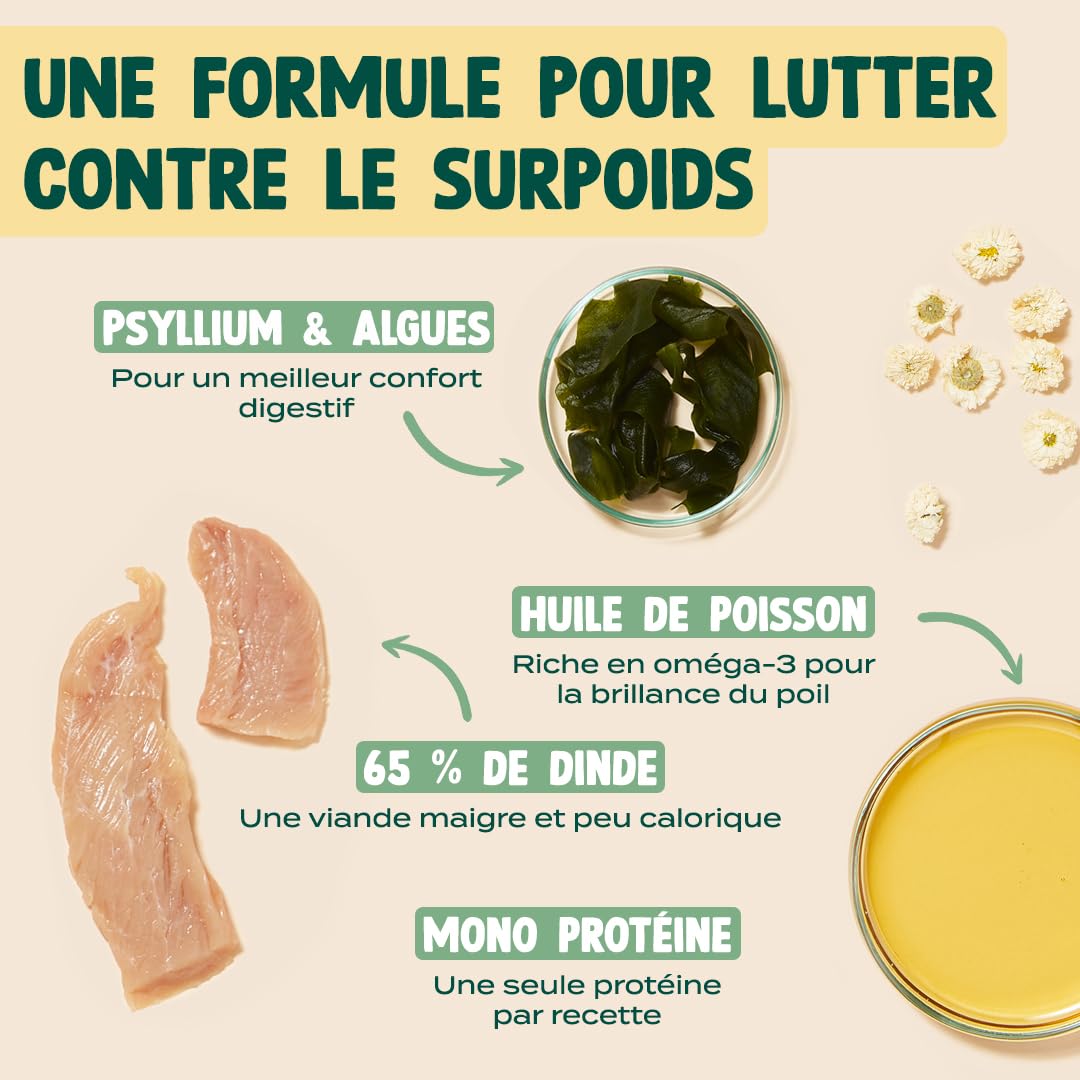 FRANKLIN – Pâtées pour Chat – sans Céréales – pour Chaton, Chat Adulte & Sénior – 66% de Viande – Saveur Dinde, Camomille – Nourriture Humide – Maximise l'hydratation – Boite 12x100g