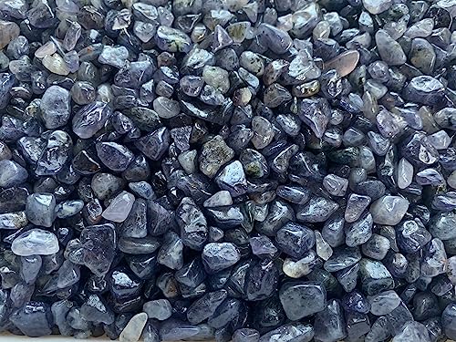 Image of GAF TREASURES 2 oz Lot Natural Semi Tumbled Iolite Gemstone Chips, Iolite Crushed Mini Crystals, Undrilled Crystal Chips (Iolite)