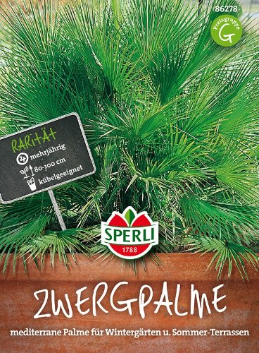 Sperli-Samen Zwergpalme