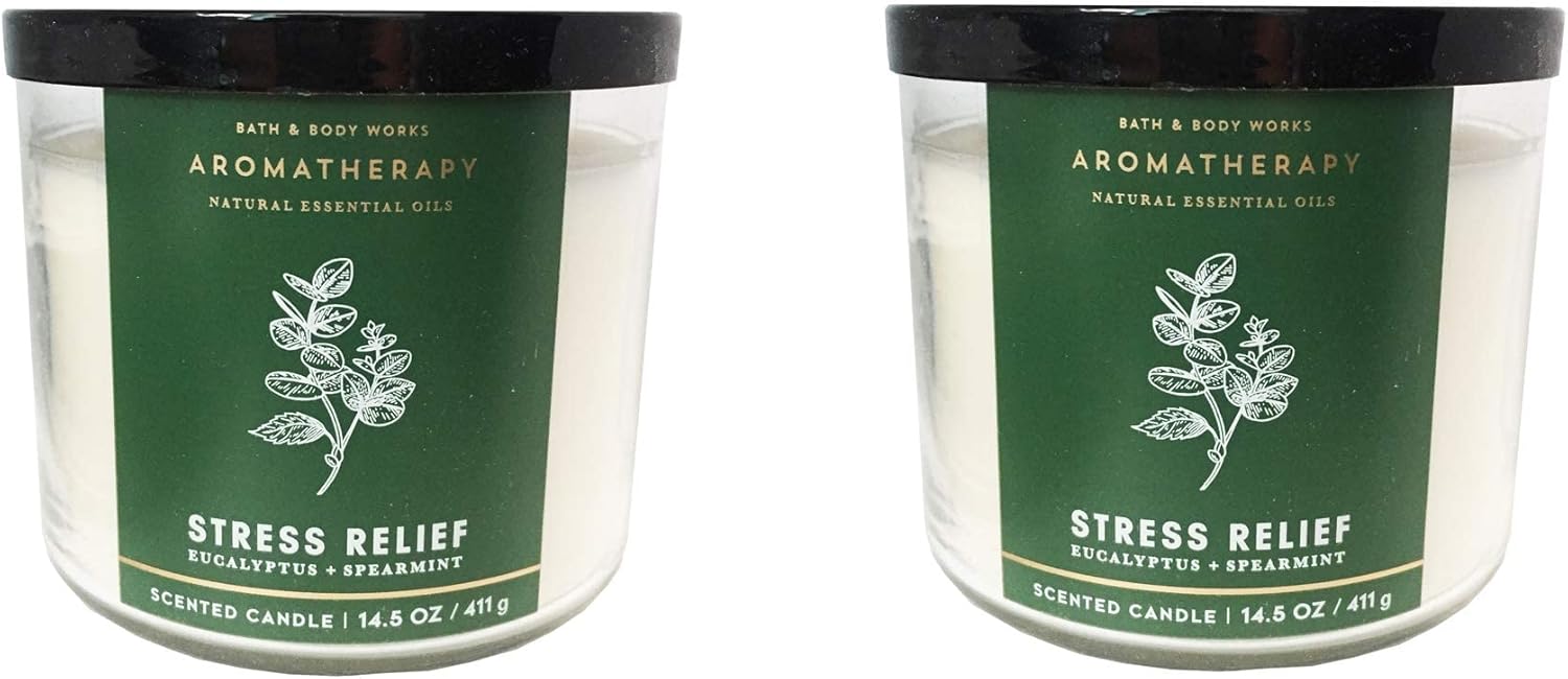 Bath and Body Works Aromatherapy 3 Wick Candle, 14.5 Oz, Eucalyptus Spearmint (2 Pack) : Health & Household