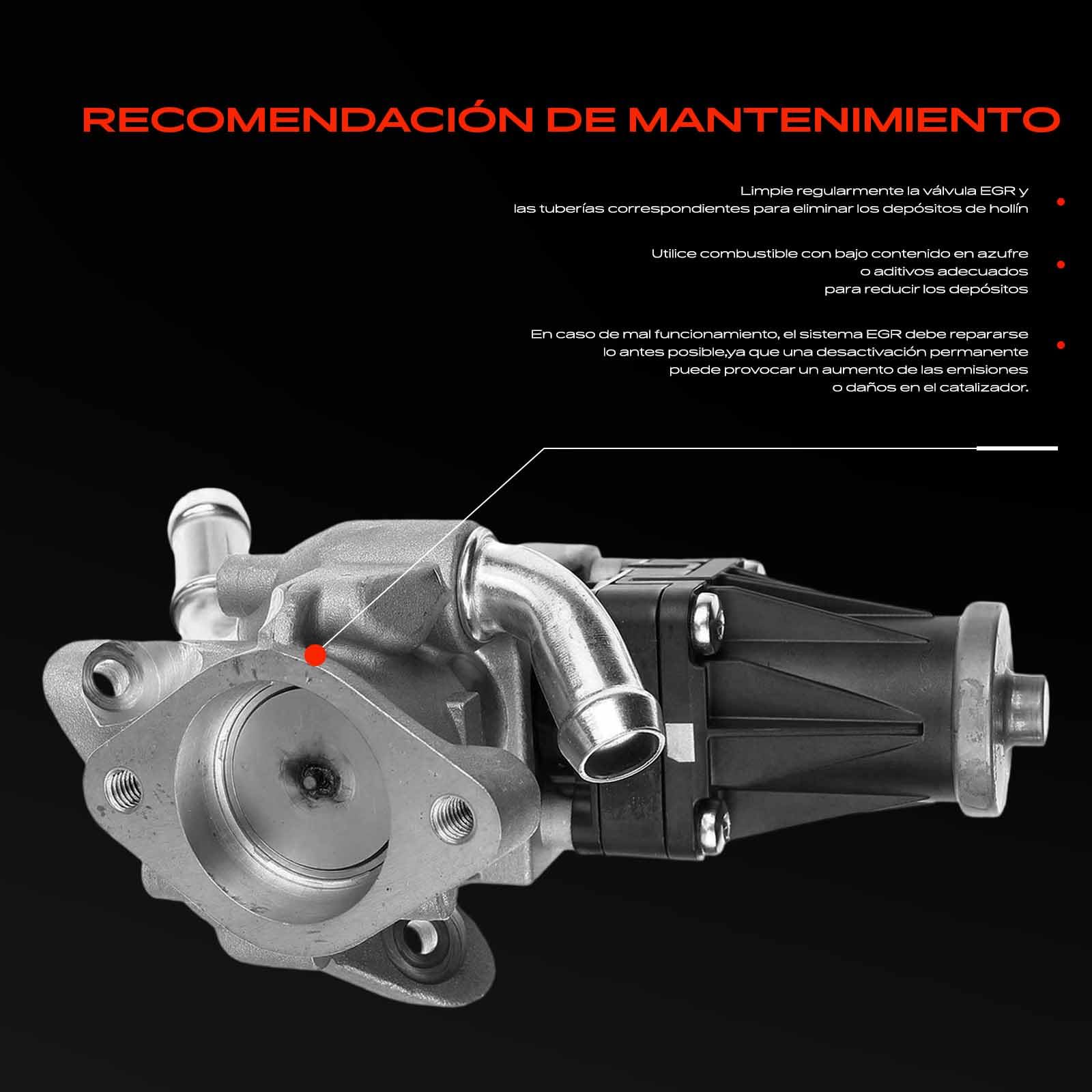 Frankberg Válvula EGR de 5 Polos BK2Q9D475CC | Compatible con: Autobús de tránsito V363 FAD FBD, Caja de tránsito FA, Caja Transit Custom V362
