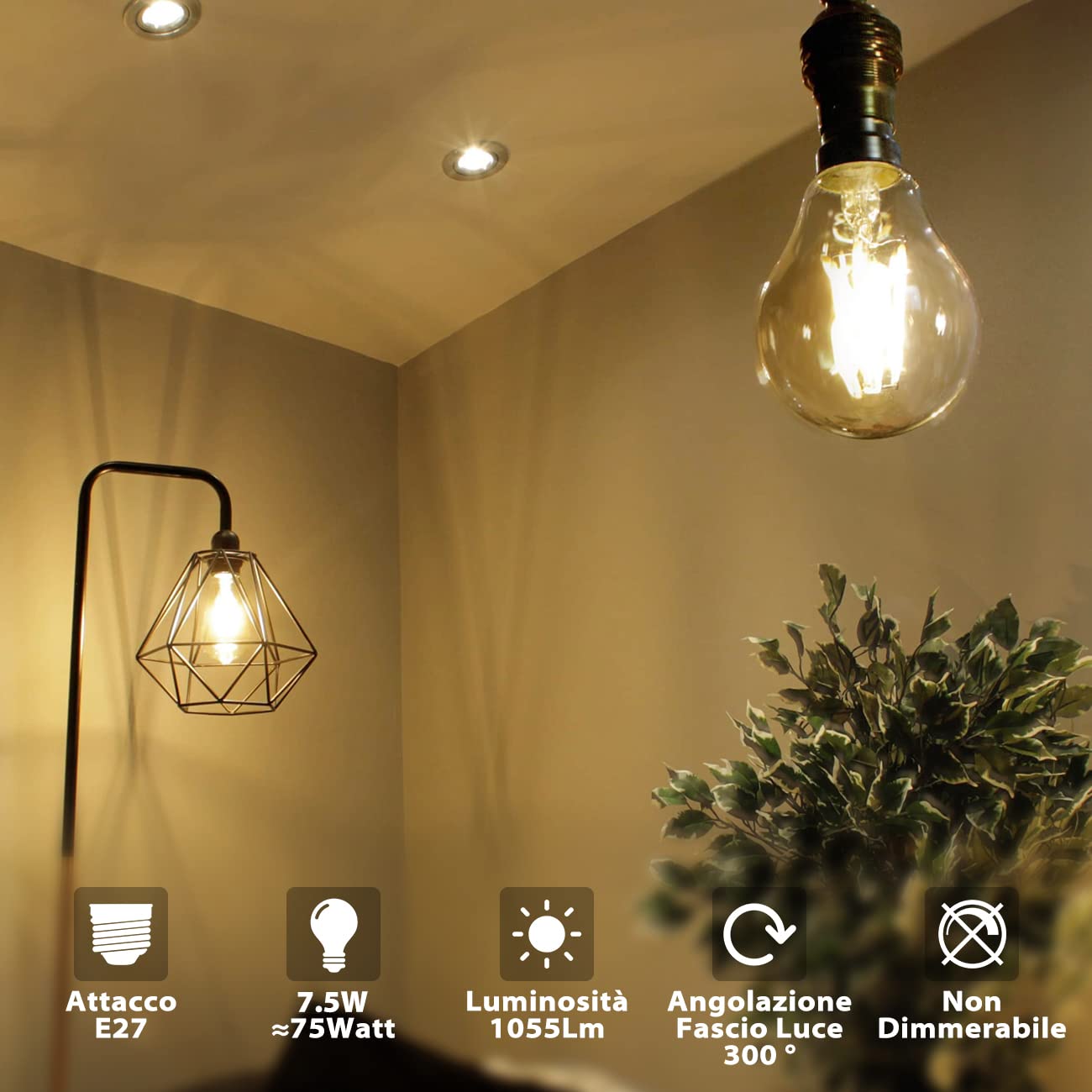 Lampadine di filamenti a LED, 7.5W Equivalenti a 75W, 1055LM, 2700K Bianco Caldo, Attacco E27, Stile Vintage Retrò, Non Dimmerabile, Confezione da 6 Pezzi