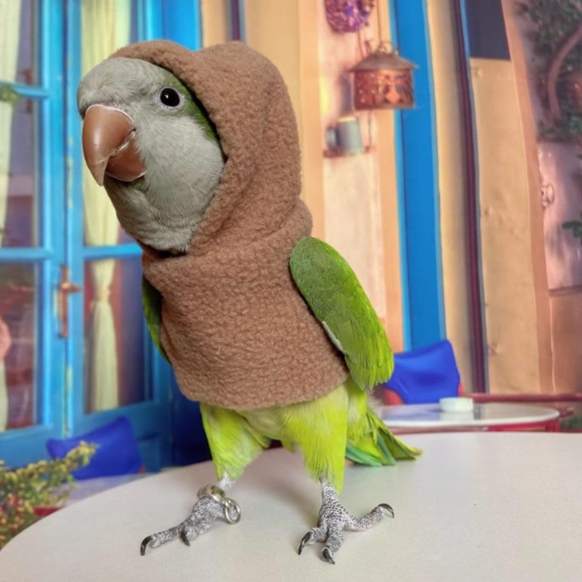 Bird Cloth - Christmas Party Birthday Costume for Parrot Halloween Pet Birds Clothes Birds Cosplay Outfit Hoodies for African Grey Parakeet Cockatiel Sun Conure Finch Budgie (Brown,L)
