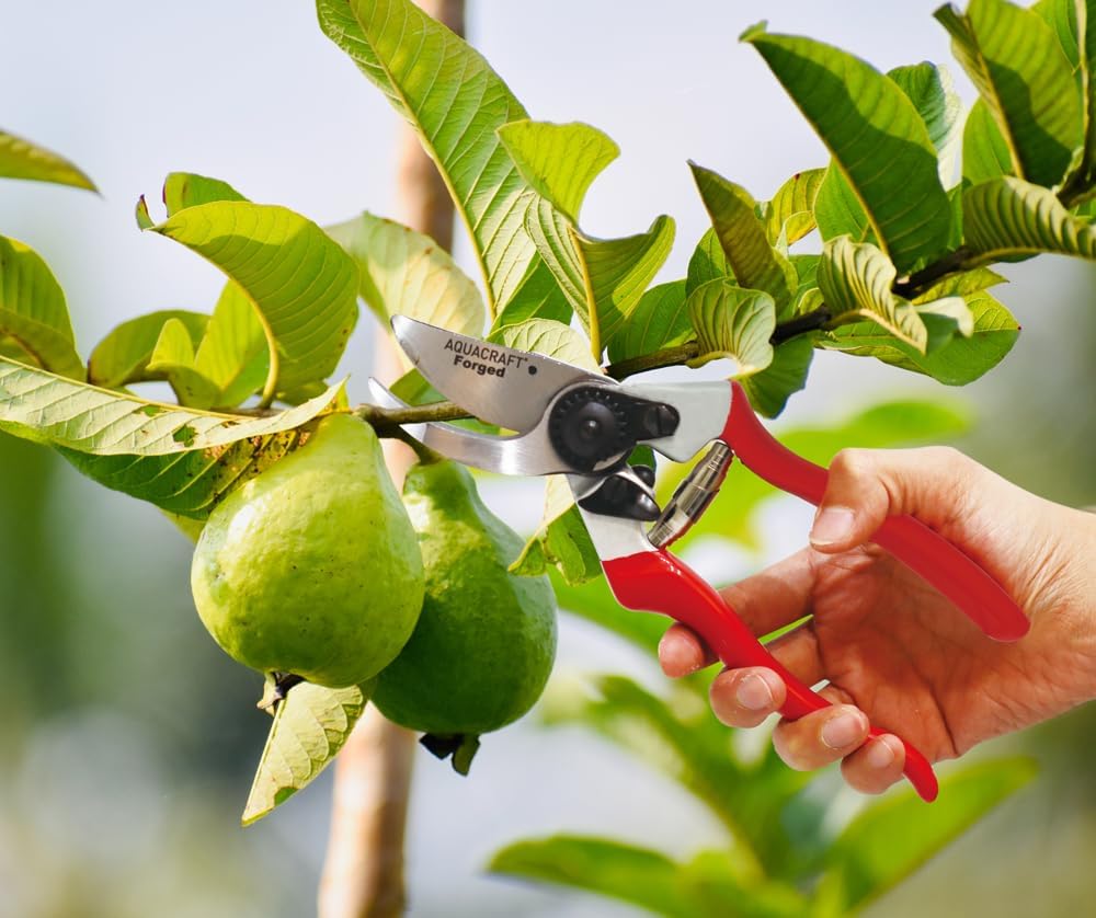 Forged Bypass Pruning Shears – SK5 Steel Garden Clippers with Safety Lock & Ergonomic Handle, Cuts Branches up to 1", Ideal for Plant & Branch Trimming