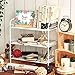 EZOWare 3-Tier Counter top Standing Rack, Kitchen Bathroom Mesh Storage Organizer Shelves - White