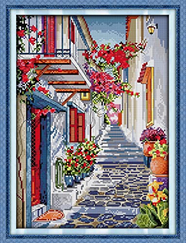Image of Howie's Cross Stitch Kits, 14CT Pre-Printed Pattern Embroidery Set Needlework, Full Range of Stamped Starter Kits(Flower Street 1, 11.42 x 14.96 inch)