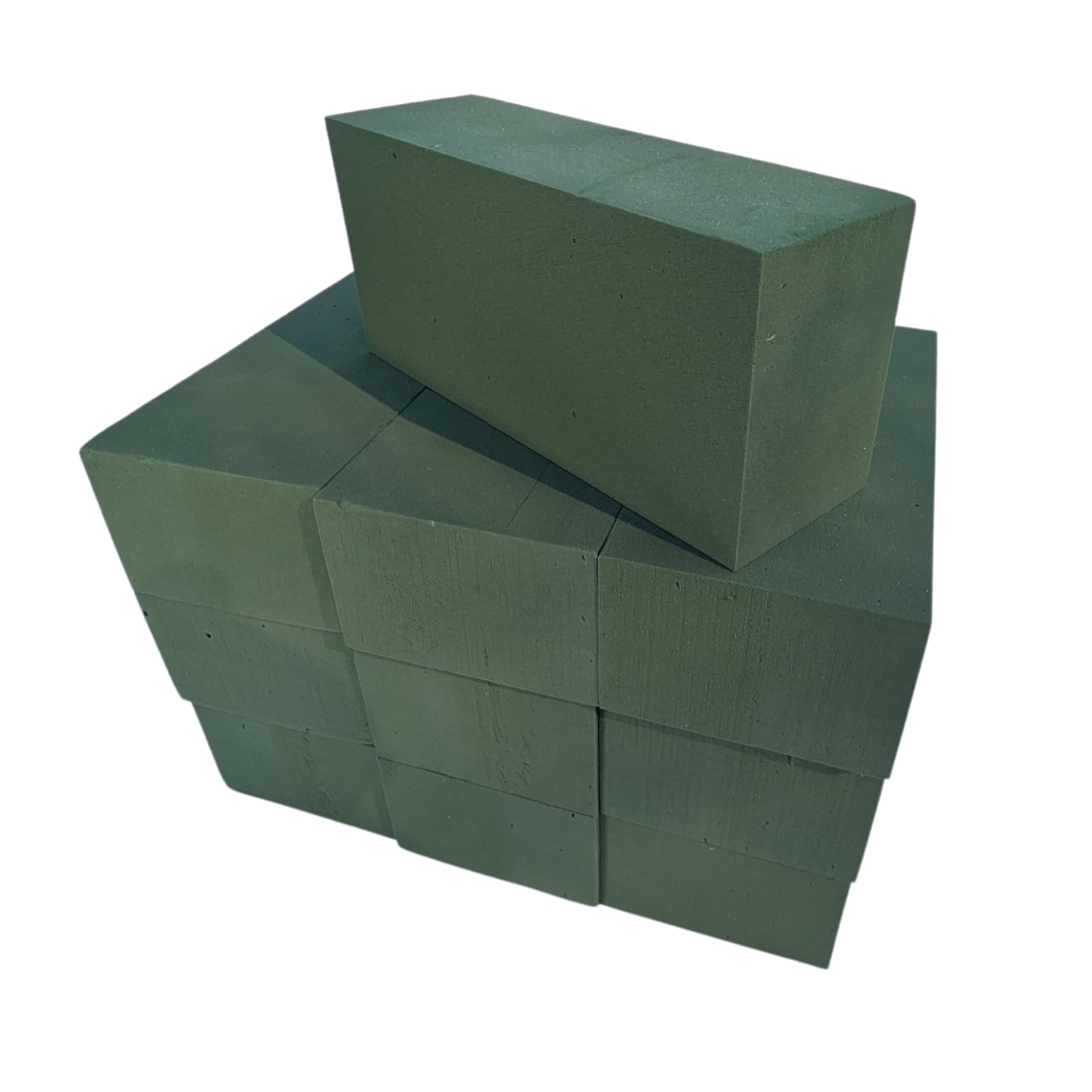 Floral Supplies Wet Foam (Green) Floral Foam Bricks 23X11x8cm - Wet Or Dry, Florist Grade - For Stunning Fresh & Artificial Flower Arrangements (, 10)