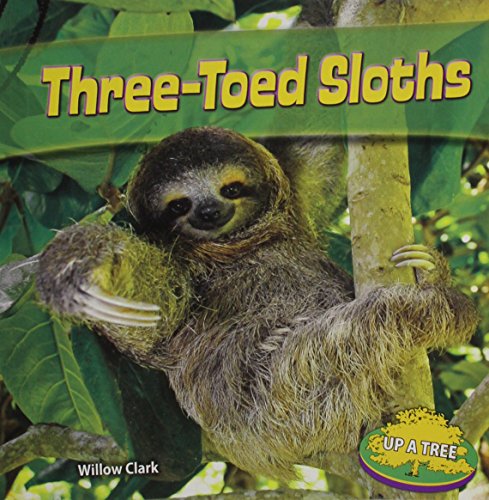Preisvergleich Produktbild Three-Toed Sloths (Up a Tree)
