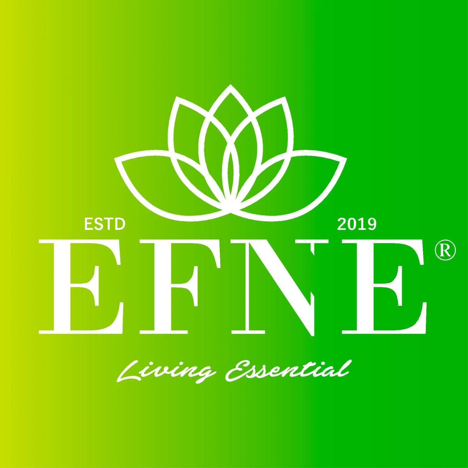 EFNE CURCUMINA FORTE – Cúrcuma + Jengibre + Pimienta Negra | 60 cápsulas veganas | Extracto de cúrcuma 95% curcumina + jengibre 5% gingeroles + piperina 95% | Sin gluten ni lactosa