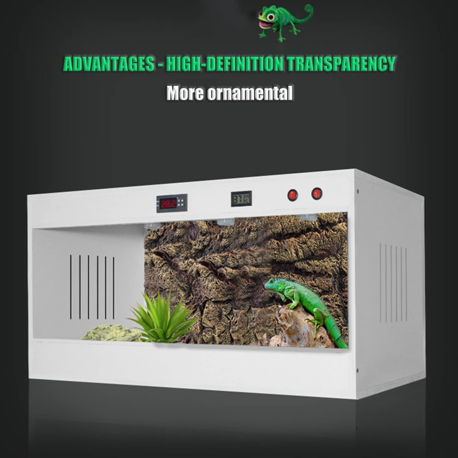 Terrario in vetro per rettili, habitat ideale, per tenere al caldo e rimanere in salute in questo contenitore trasparente