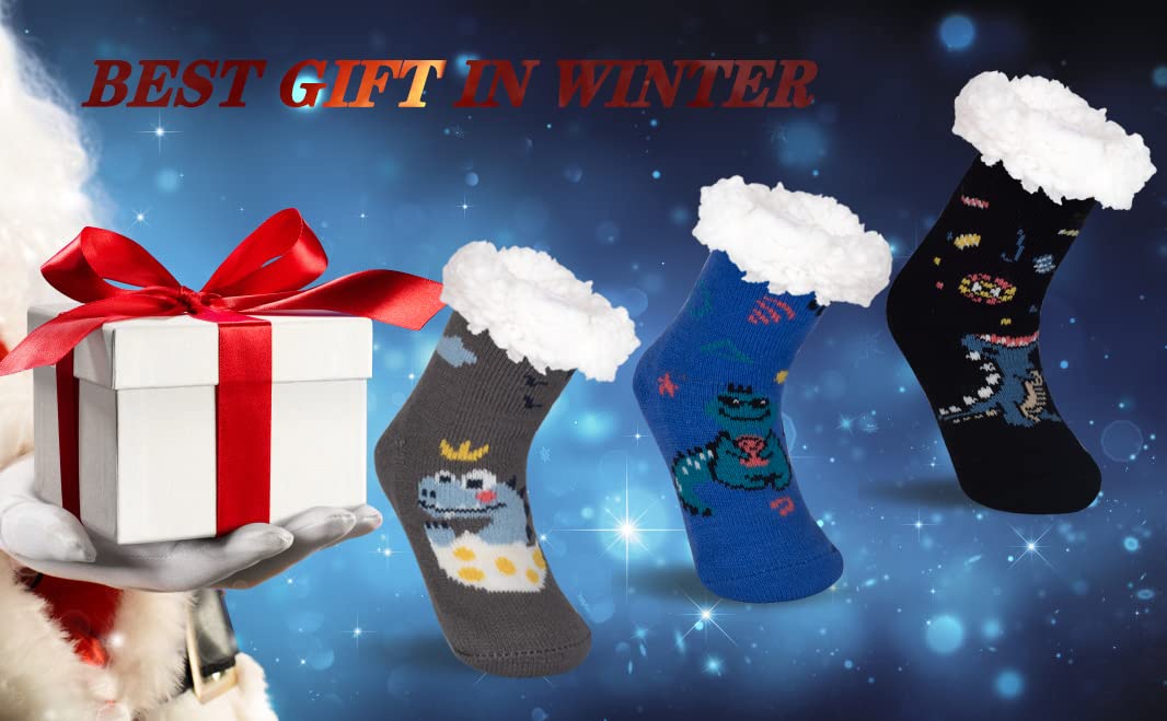 FENELY 3 pares de calcetines de invierno para niños de 2-4/4-6/6-8, térmicos, cálidos, antideslizantes, regalos para Navidad