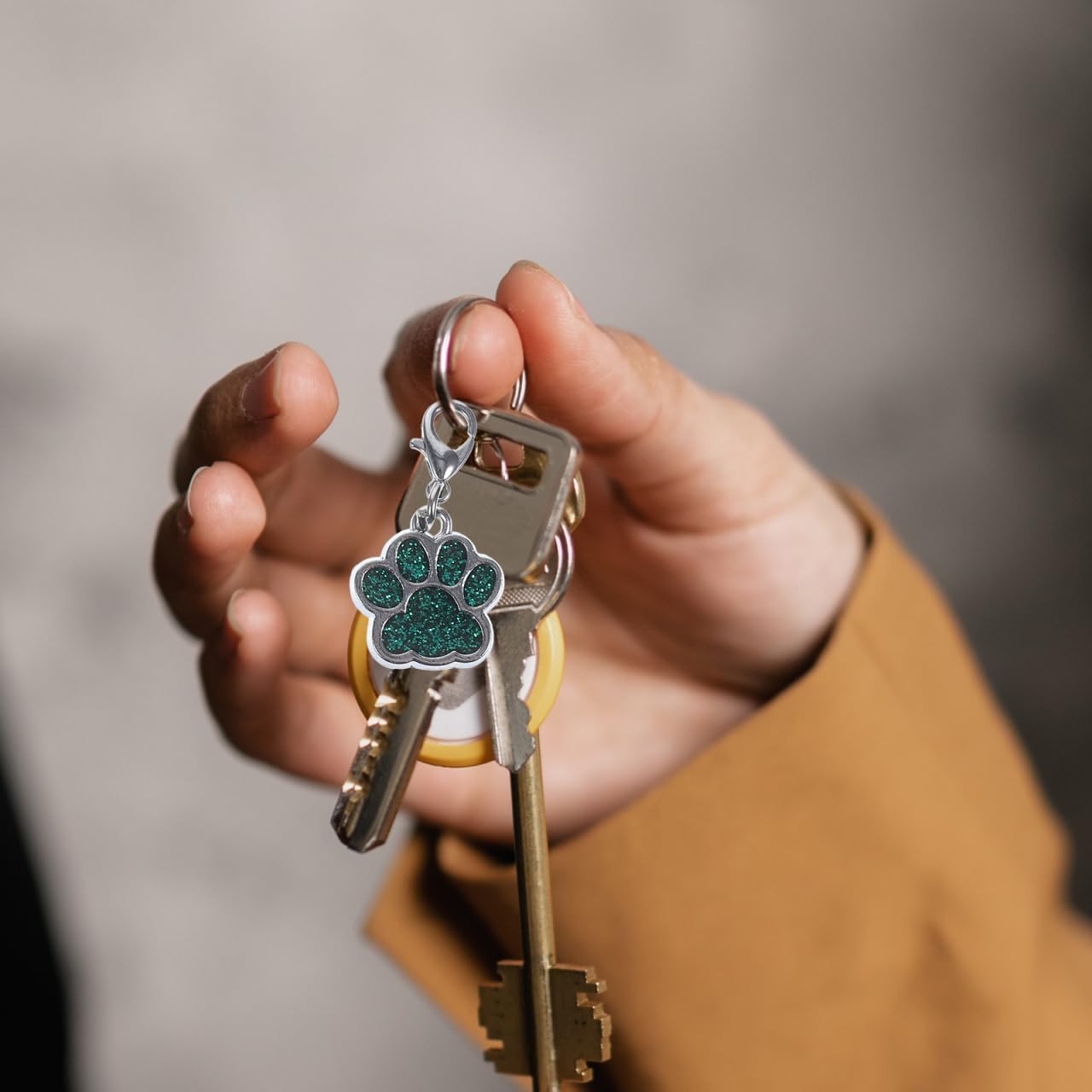 Healifty Zipper Pulls, 10 Pack Glittery Dog Paw Charms for Backpacks and Jackets, Colorful Enamel Zipper Replacement Extensions for Purses School Bags, Assorted Paw Print Pendants - Image 7