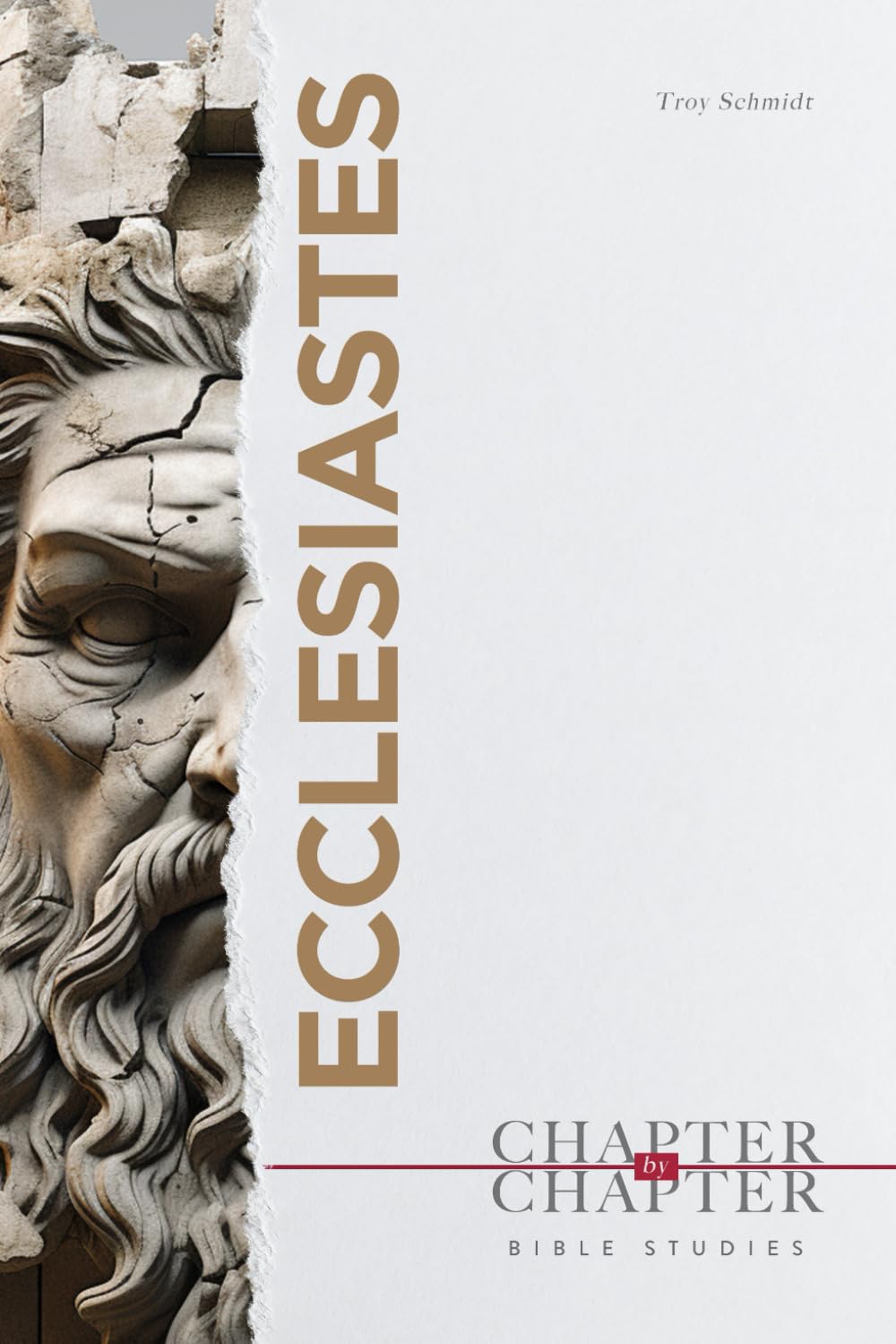Ecclesiastes: A Chapter-by-Chapter Bible Study: An Easy to Use Study of an Entire Book of the Bible
