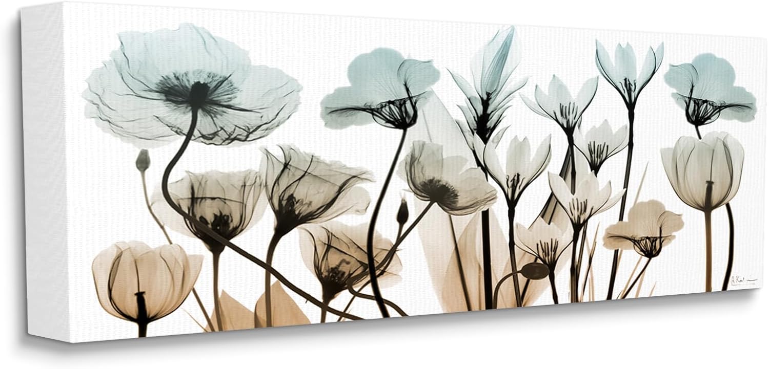 Stupell Industries Mixed X-Ray Flowers Canvas Wall Art by Albert Koetsier